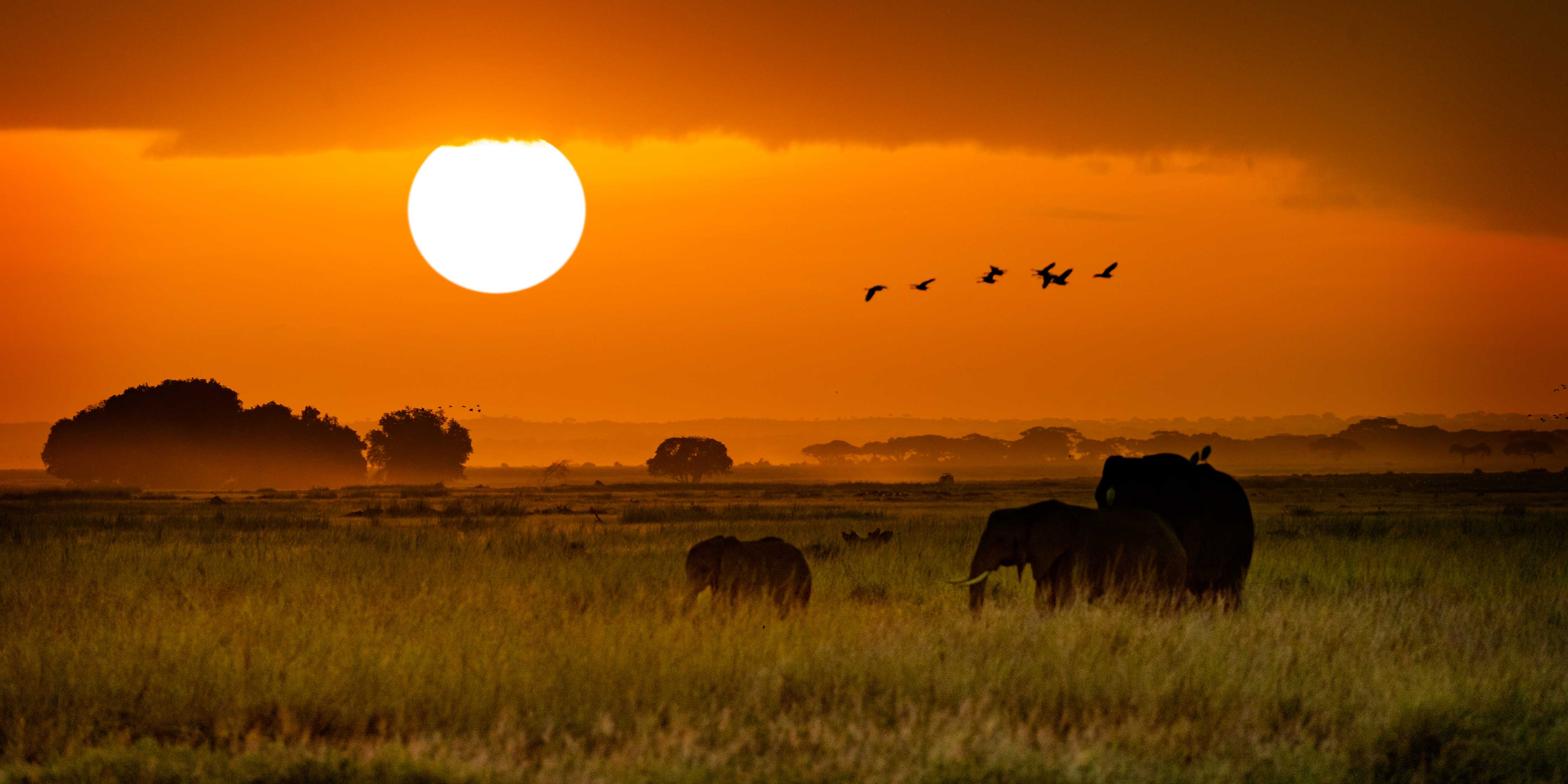 Serengeti