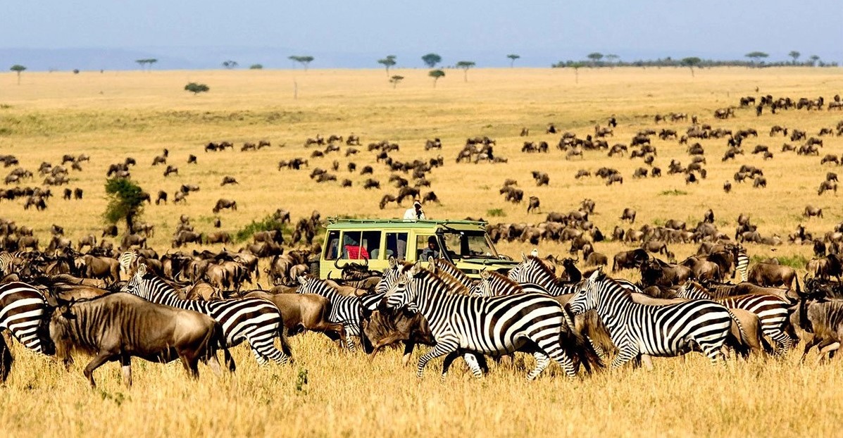 2 Days Serengeti Fly-In Safari